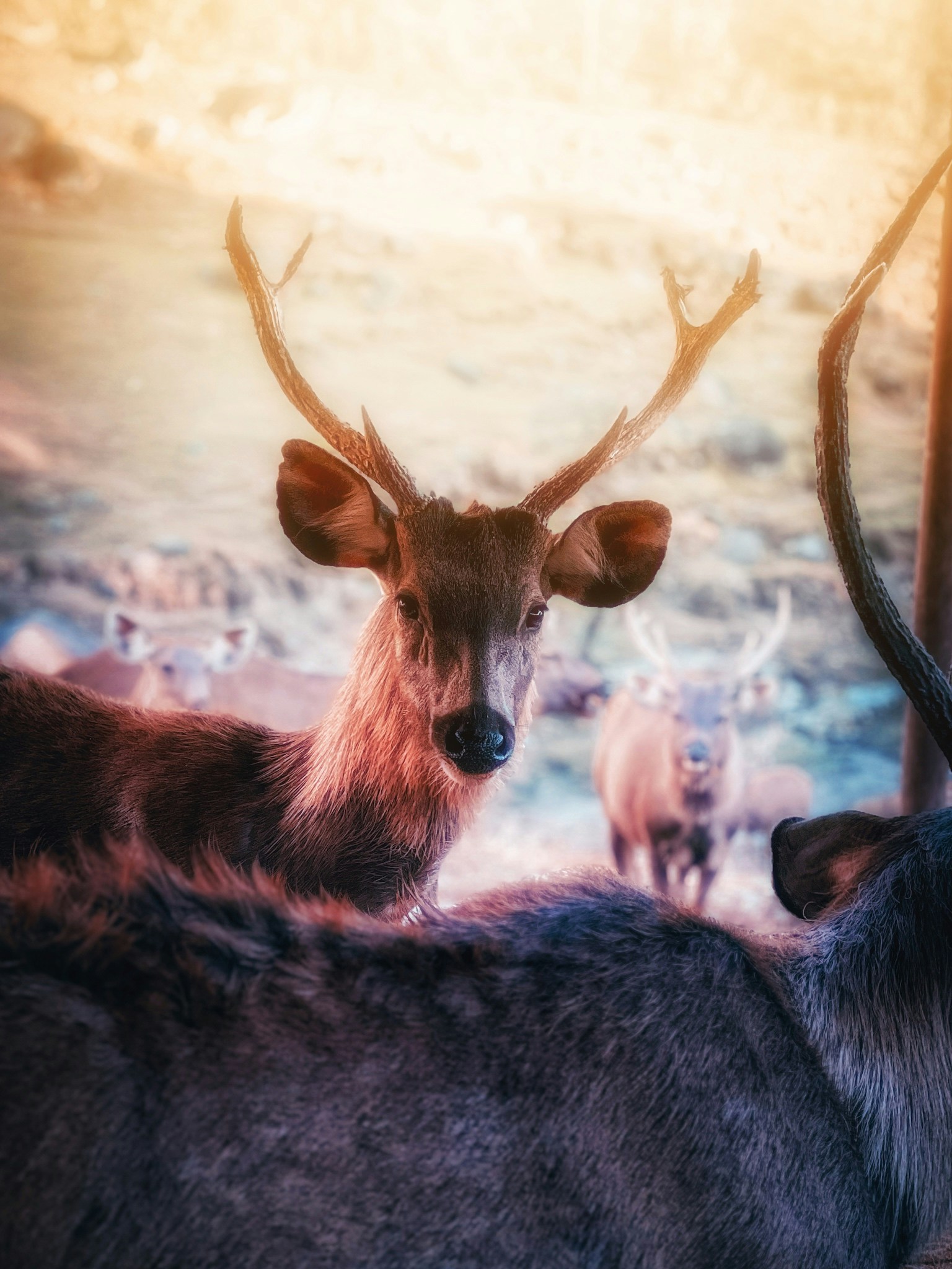 Go to HIMANSHU CHAUHAN's profile