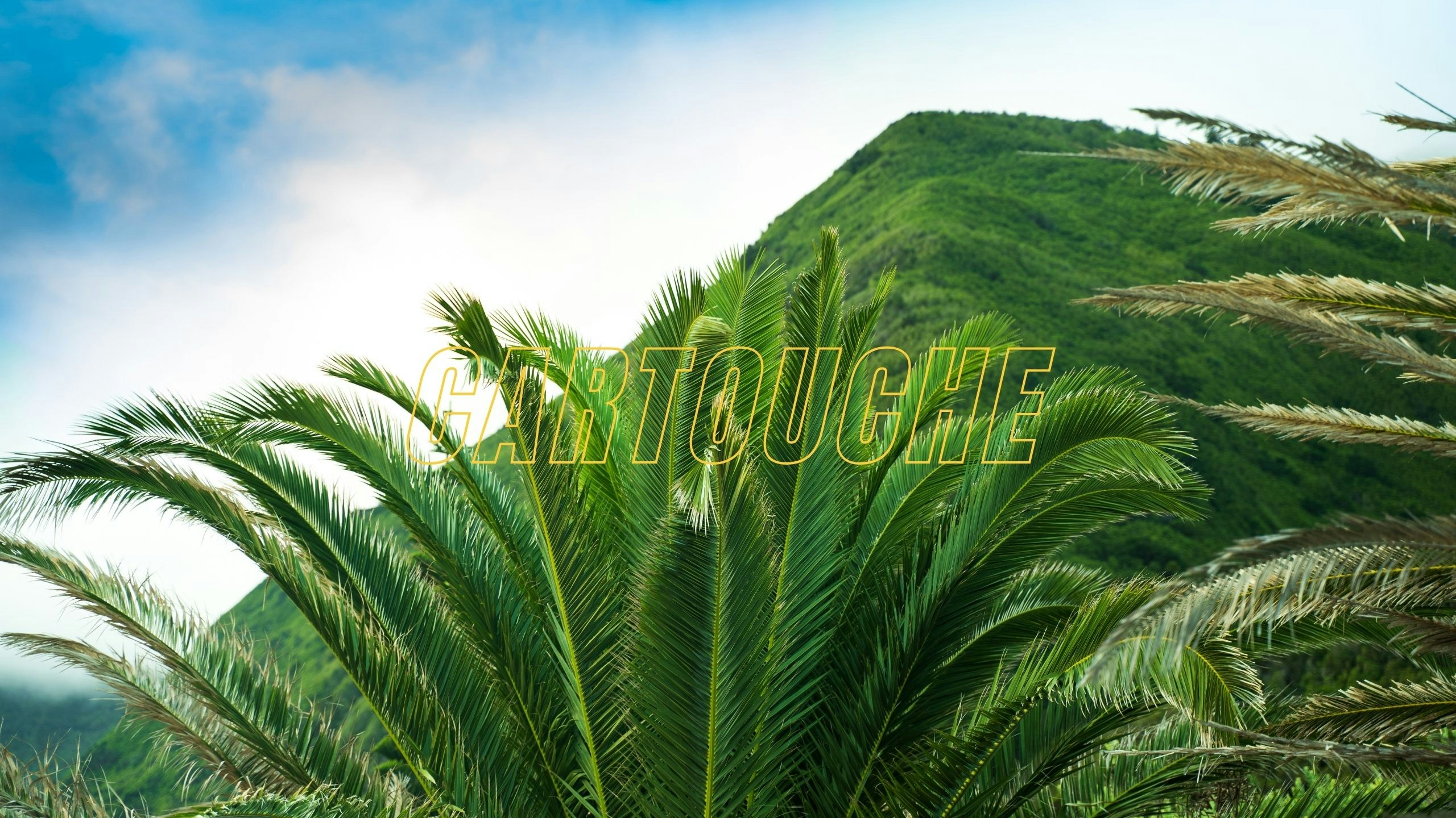 Go to Cyril Cartuyvels's profile