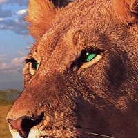 Go to Ian McDonald's profile