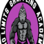 Avatar of user No Limits Grappling Academy