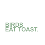 Avatar of user BIRDS EAT TOAST