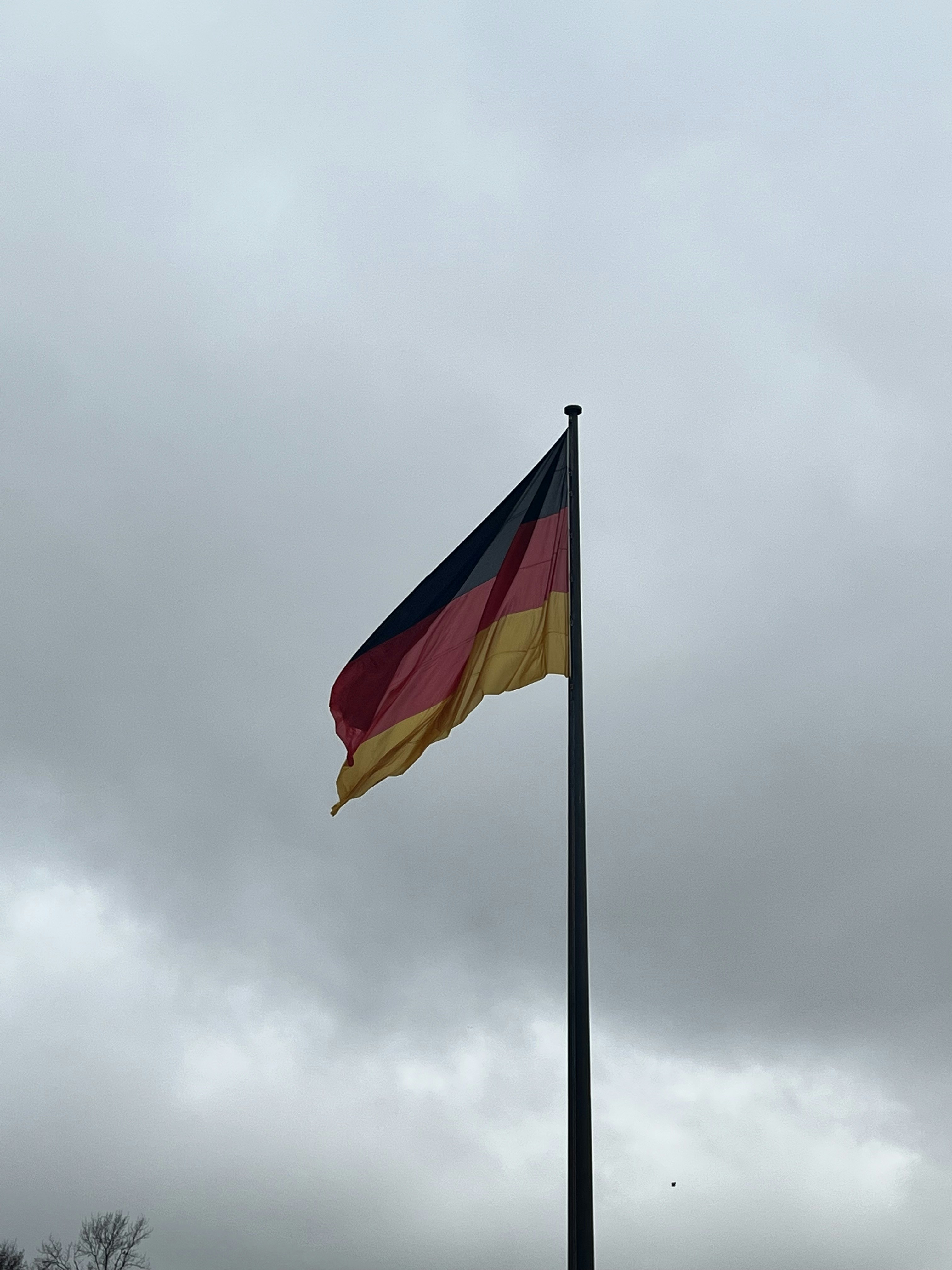 Ir para o perfil de Lea Gabriel