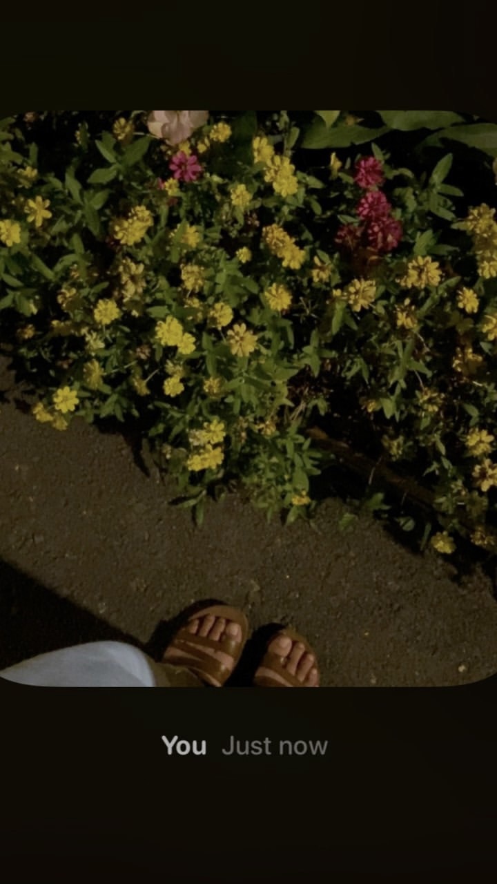 Ir para o perfil de Iwouldrathergoblind