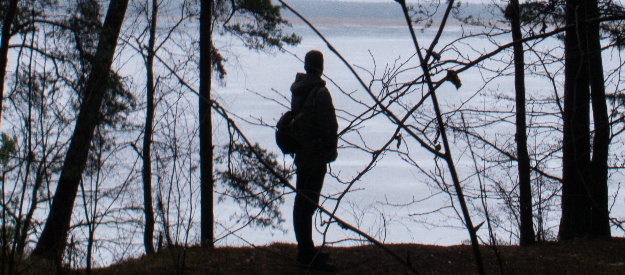 Go to Jacky Nelson's profile