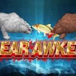 Avatar of user Bear Awaken codes generator Slots Money App Generator