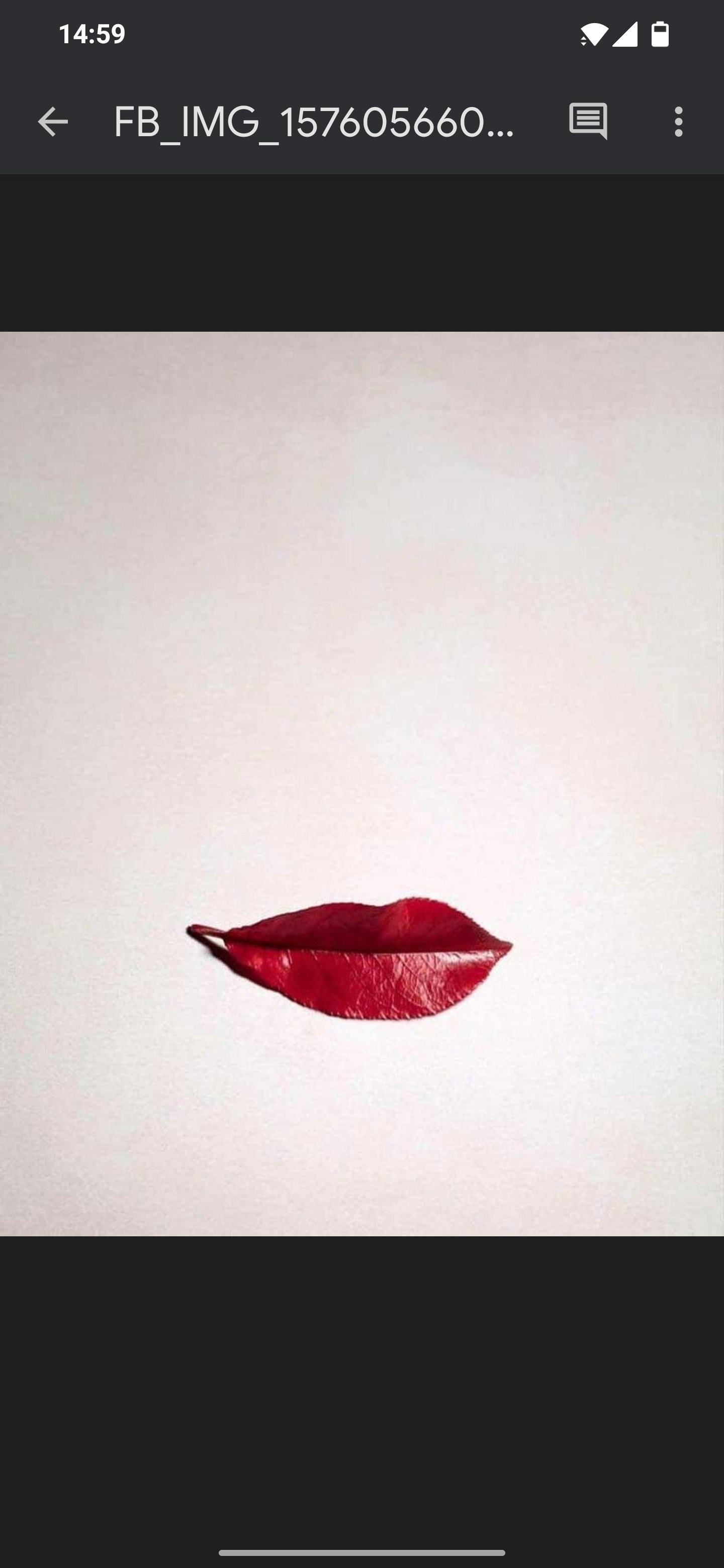 Go to Mesh's profile