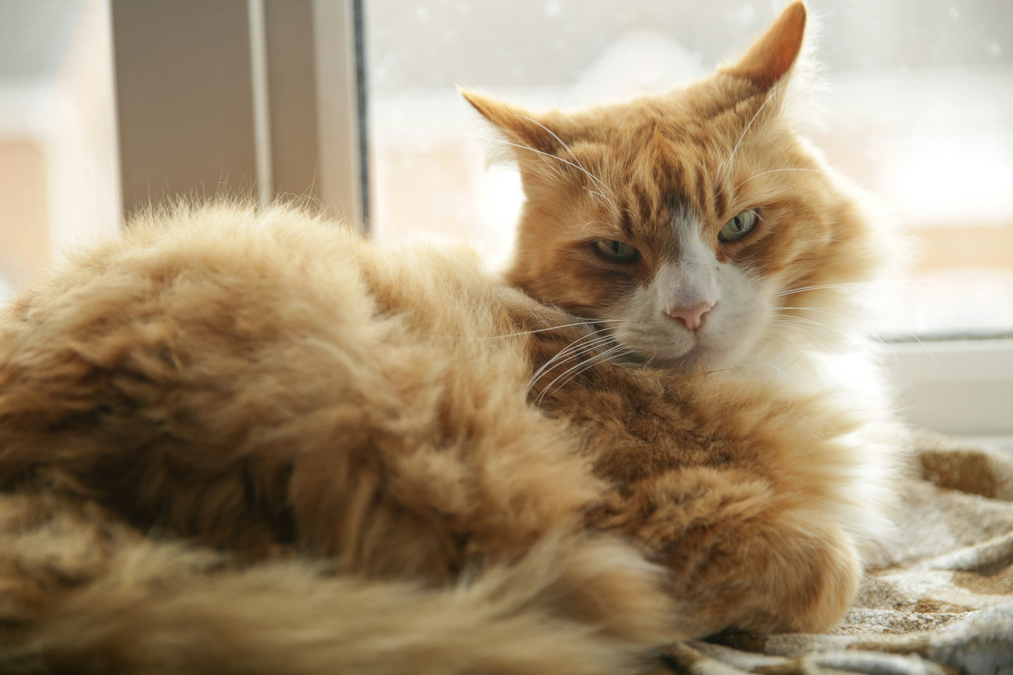 사용자 Terry Lee의 아바타