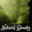 Avatar of user DOWNLOAD+ Zachary Nelson - Natural Beauty +ALBUM MP3 ZIP+