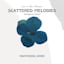 Avatar of user DOWNLOAD+ Hwayoung Shon - Scattered Melodies (Live in Sa +ALBUM MP3 ZIP+