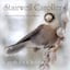Avatar of user DOWNLOAD+ The Stairwell Carollers - Carols for Christmas, Vol. 3 +ALBUM MP3 ZIP+