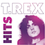 Avatar of user DOWNLOAD+ T. Rex - T. Rex: Hits +ALBUM MP3 ZIP+