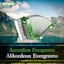 Avatar of user DOWNLOAD+ Andi Häckel - Accordion Evergreens (Akkordeo +ALBUM MP3 ZIP+