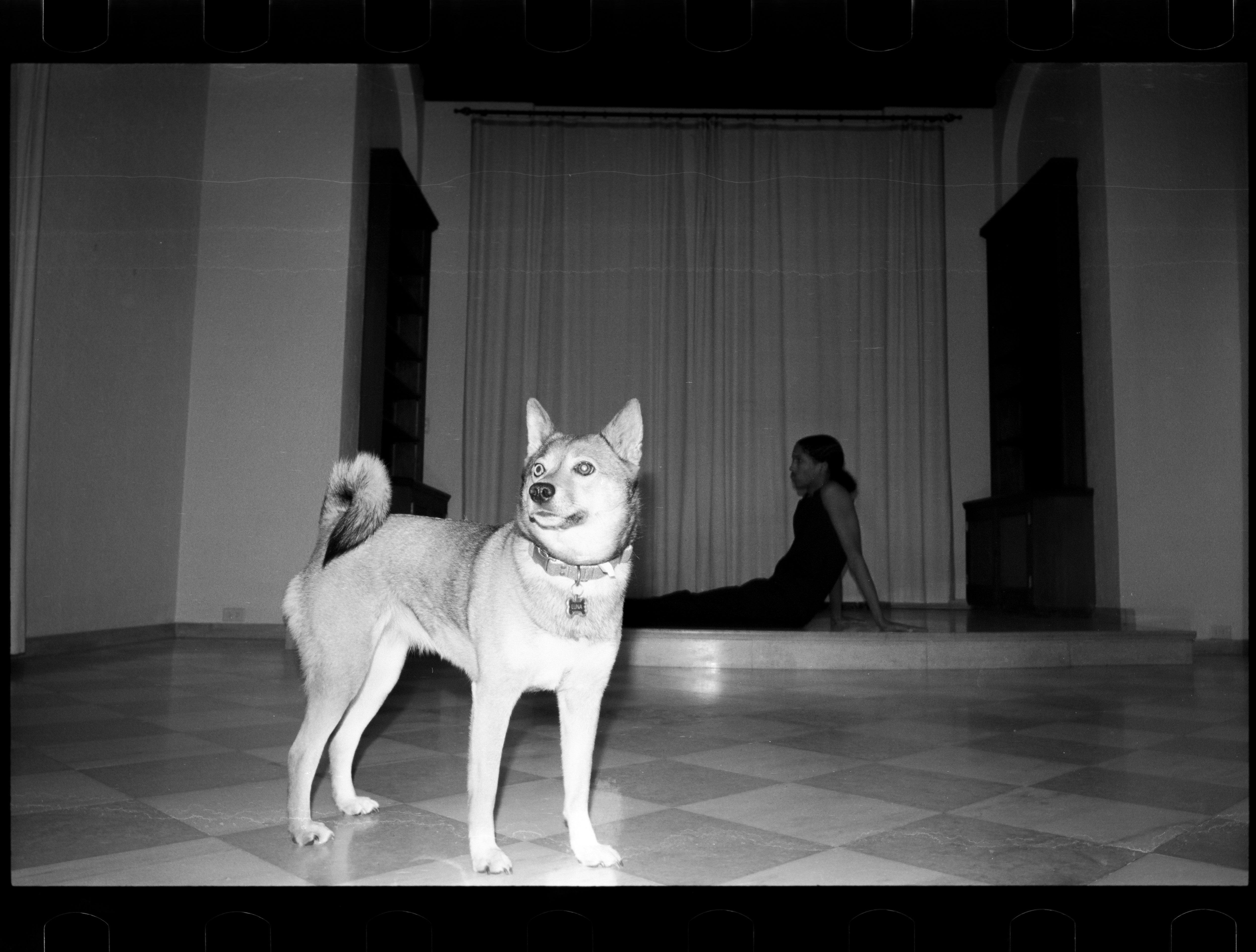 Go to Sawyer Brice's profile