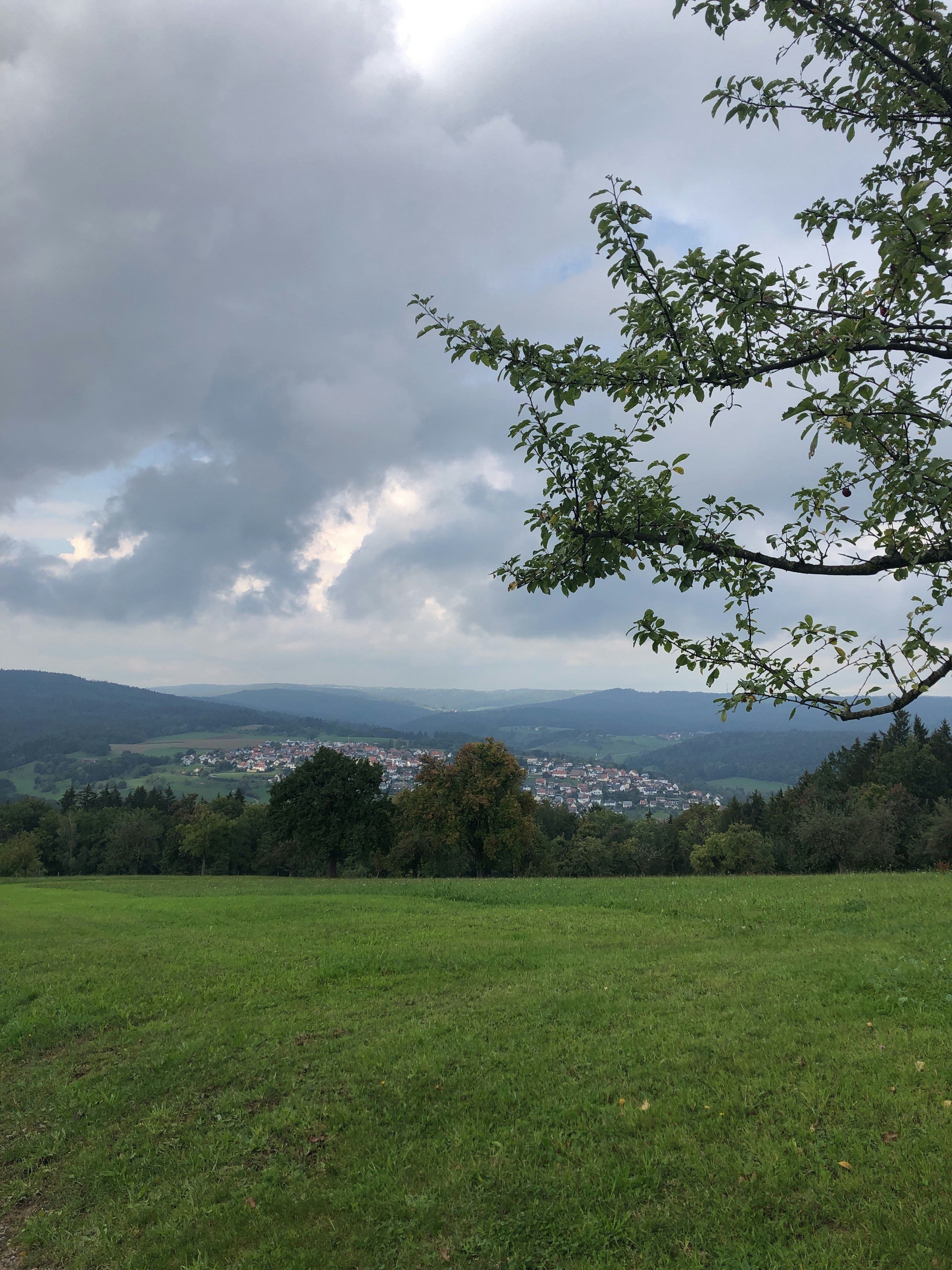 Go to Yaelle Wurster's profile