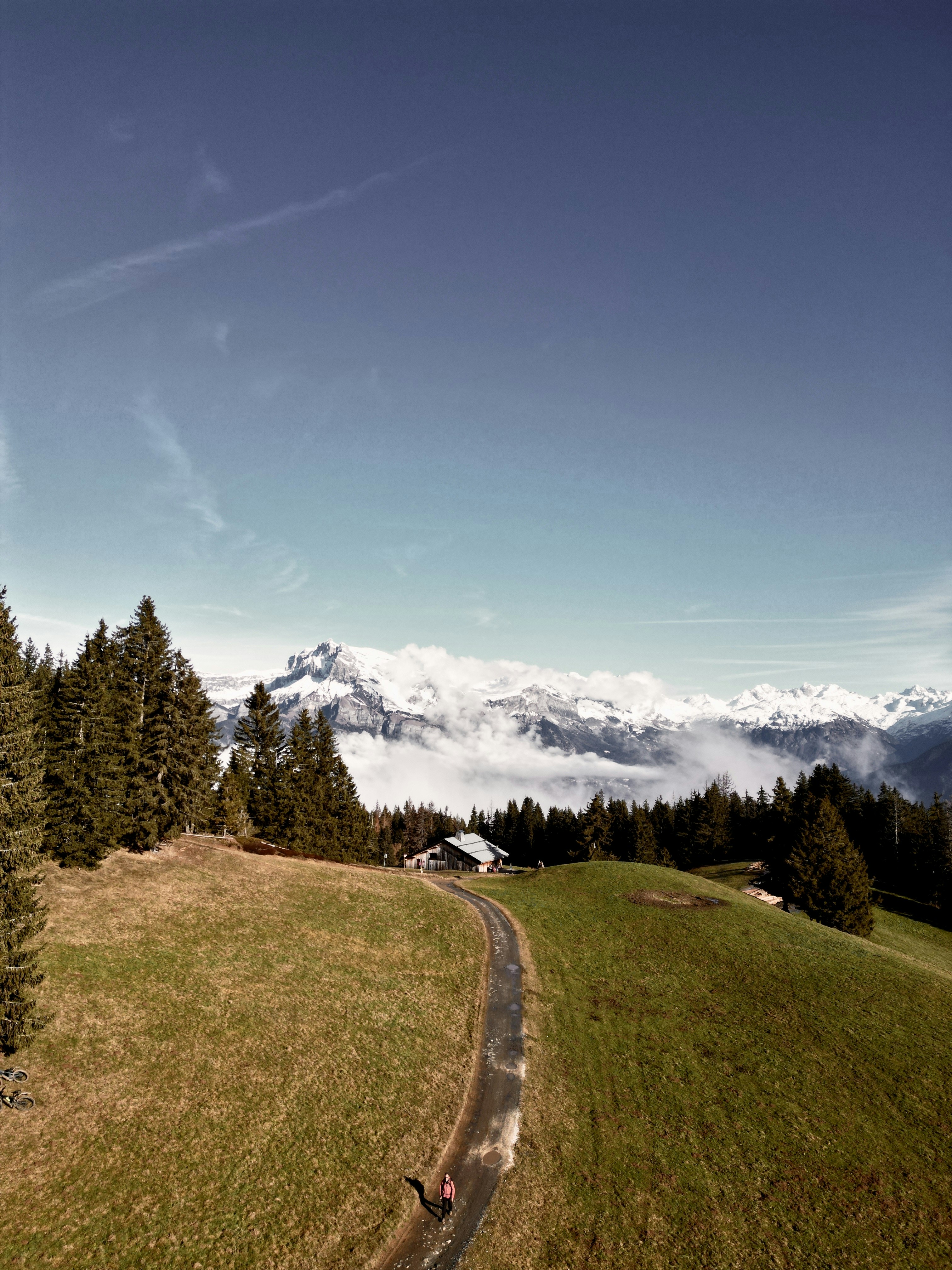 Go to Andrea Graziano Gervasoni's profile