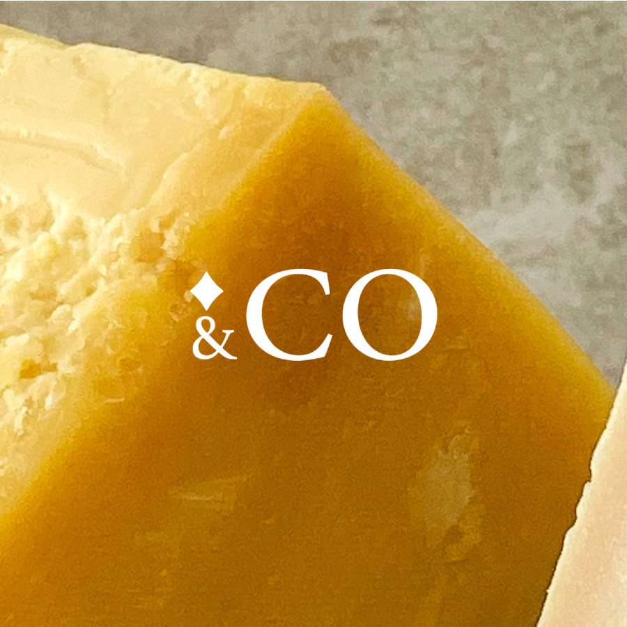 Go to gentilesco. ─ karolina ferretis's profile