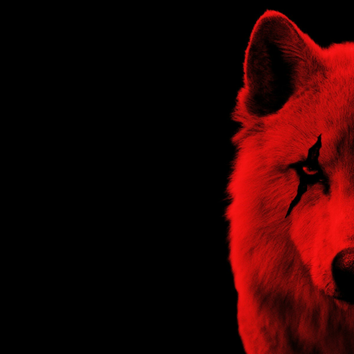 Dmitri Sobolevskiのプロフィールを見る