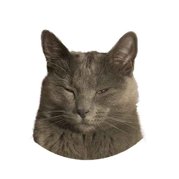 Go to Corey Sullivan's profile