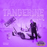 Avatar of user DOWNLOAD+ OG Ron C & Riff Raff - Tangerine Tiger (Chopped Not S +ALBUM MP3 ZIP+