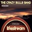 Avatar of user DOWNLOAD+ The Crazy Bulls Band - Lifestream (Pure Rock Country) +ALBUM MP3 ZIP+