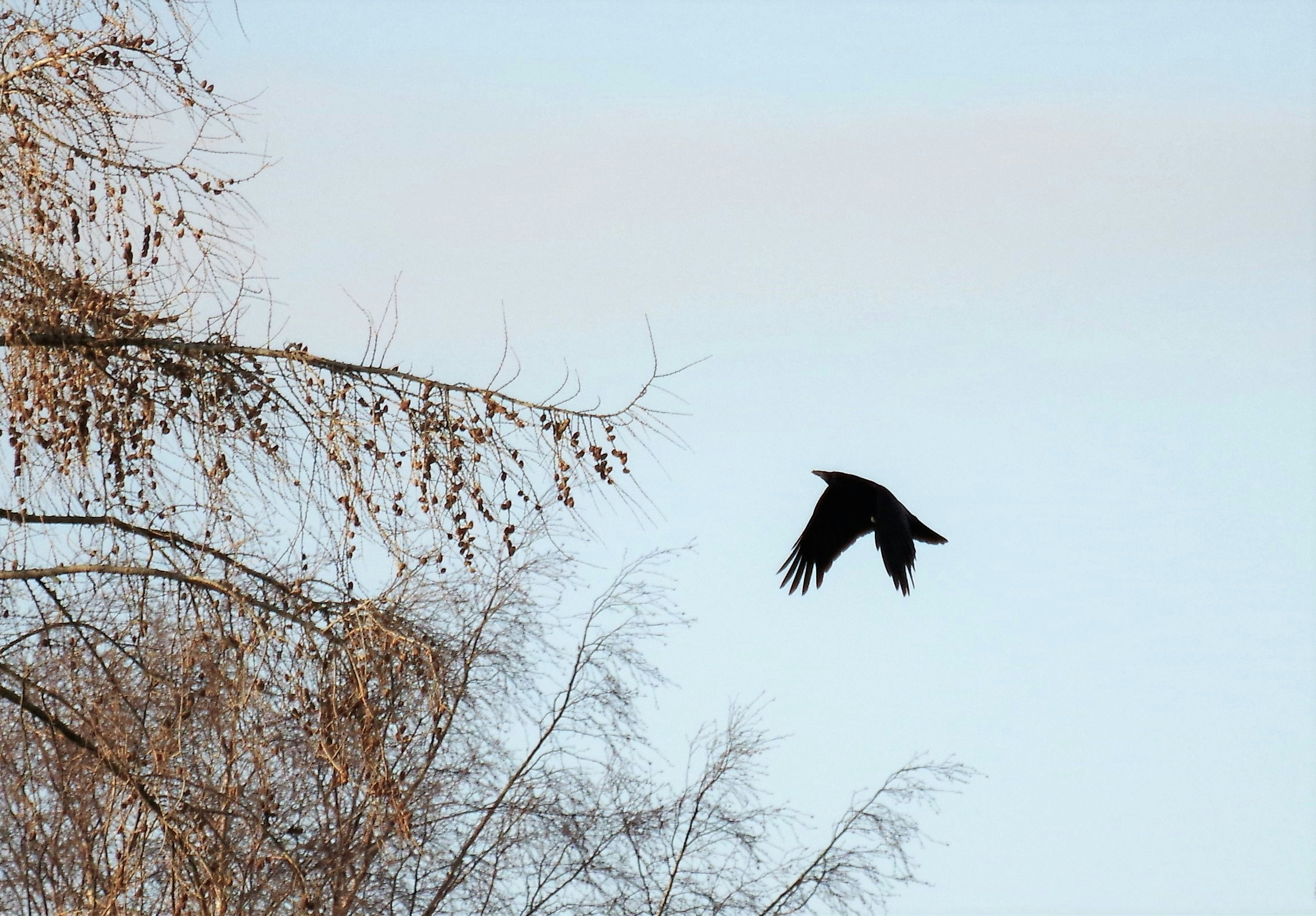 Go to Paul Thomas's profile