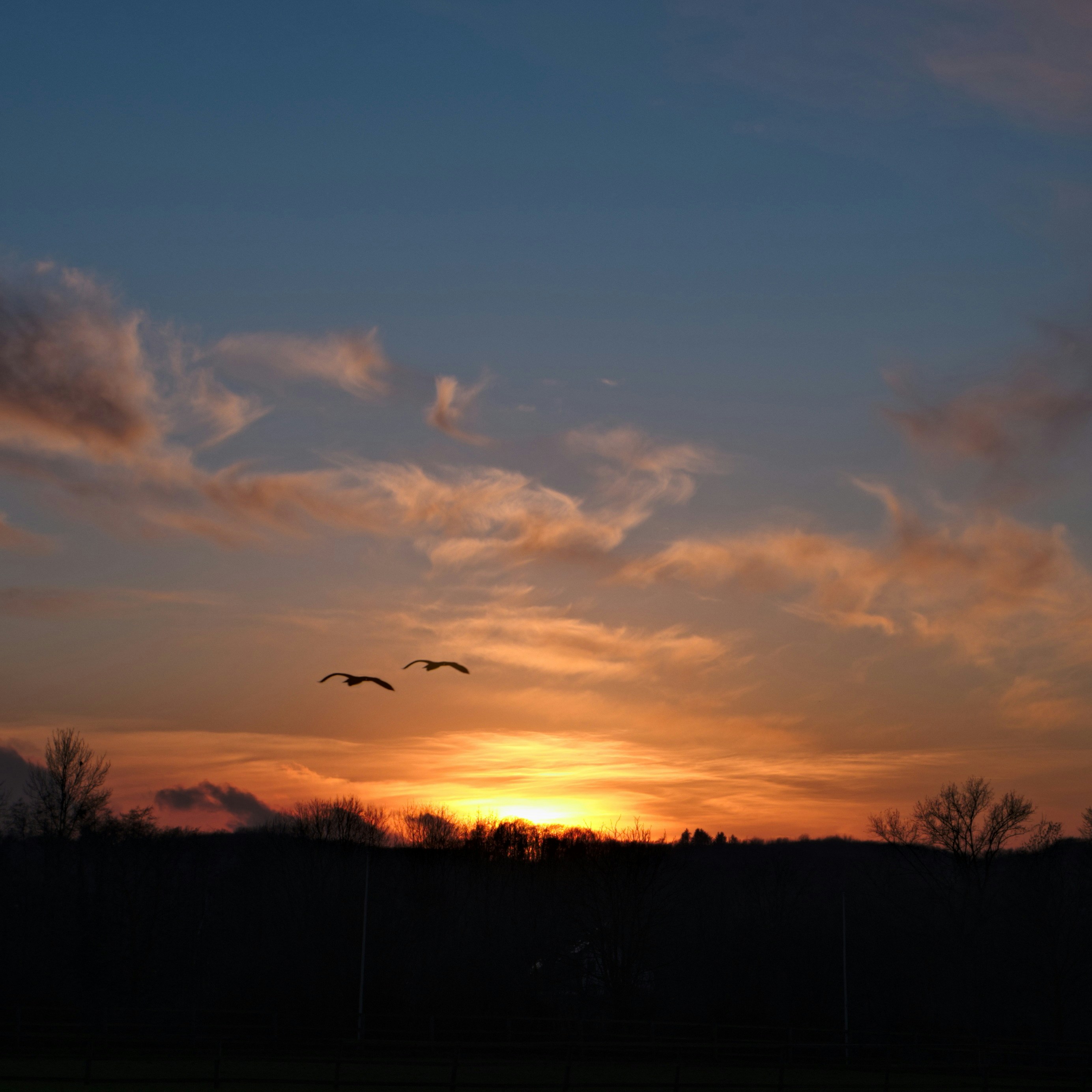 Finn Schürmann의 프로필로 이동