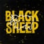 Avatar of user DOWNLOAD+ Two and a Half Girl - Black Sheep - EP +ALBUM MP3 ZIP+