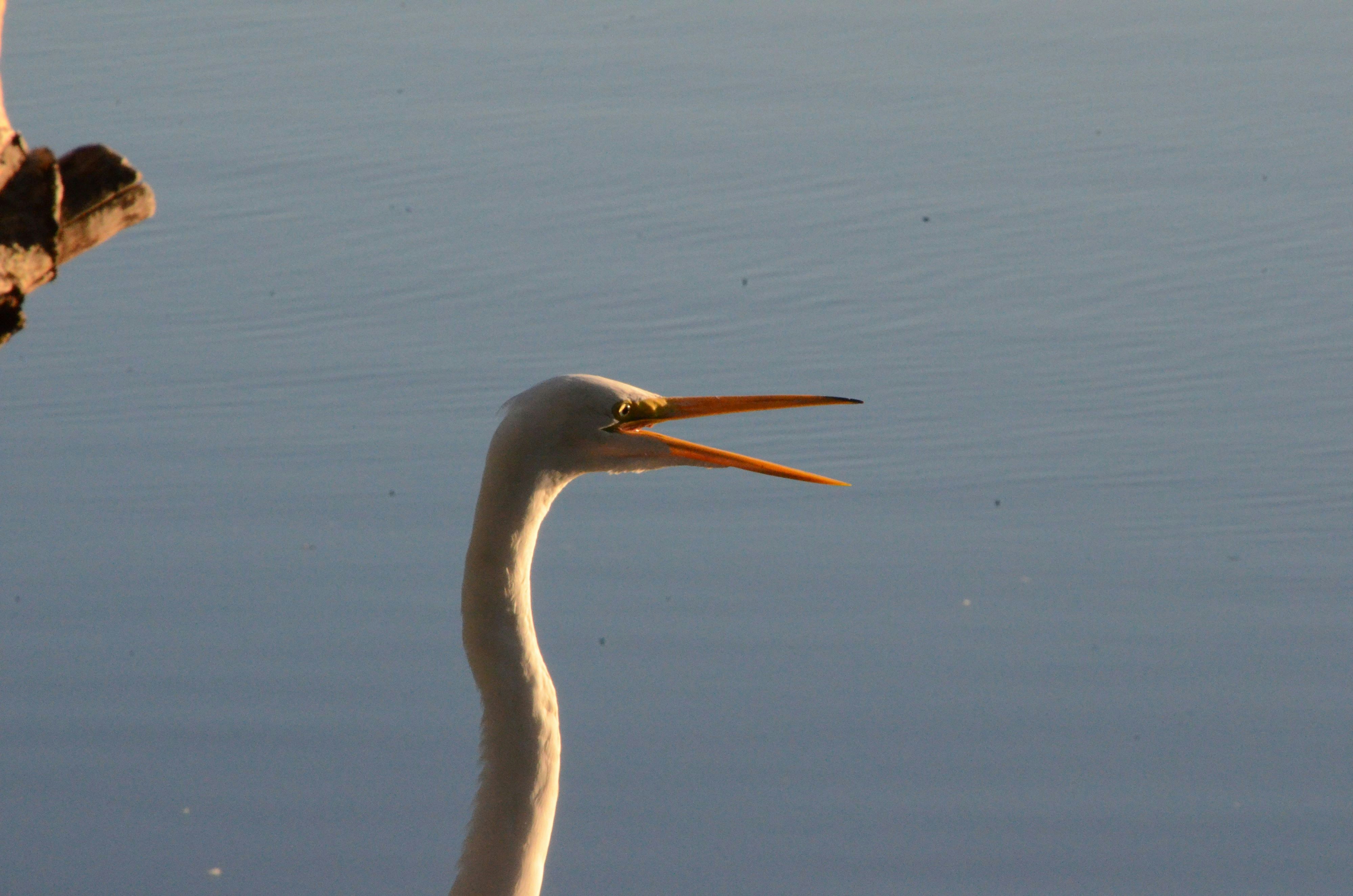 Go to Laurenz Krabisch's profile