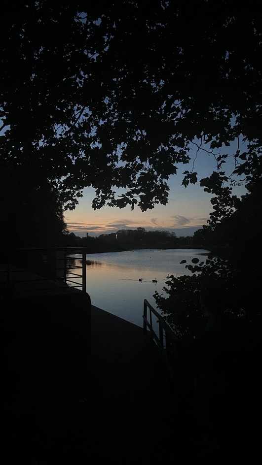 Go to Maddie Jones's profile