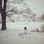 Avatar of user DOWNLOAD+ Over the Rhine - Blood Oranges in the Snow +ALBUM MP3 ZIP+