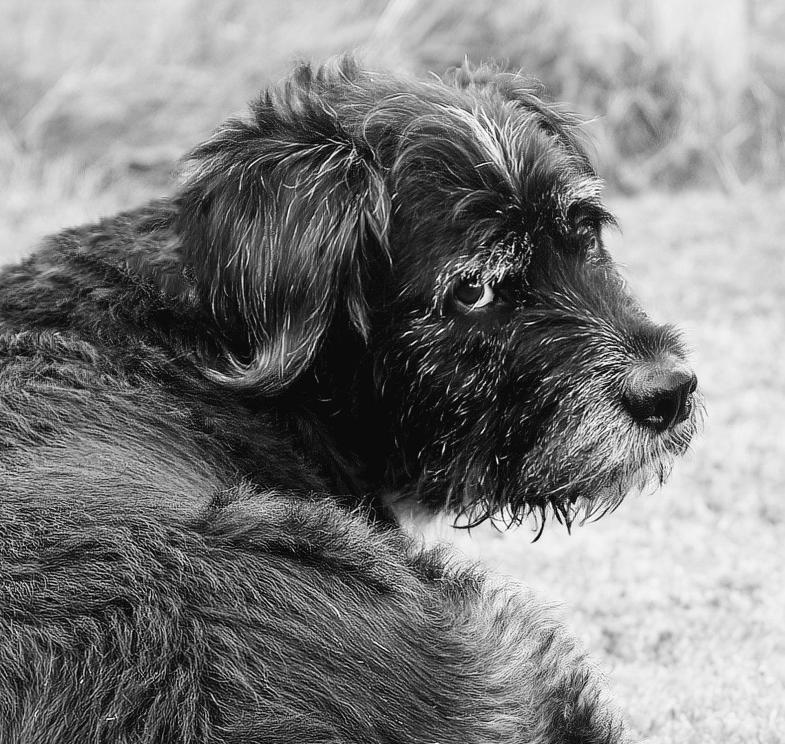 Go to Natalie Kinnear's profile