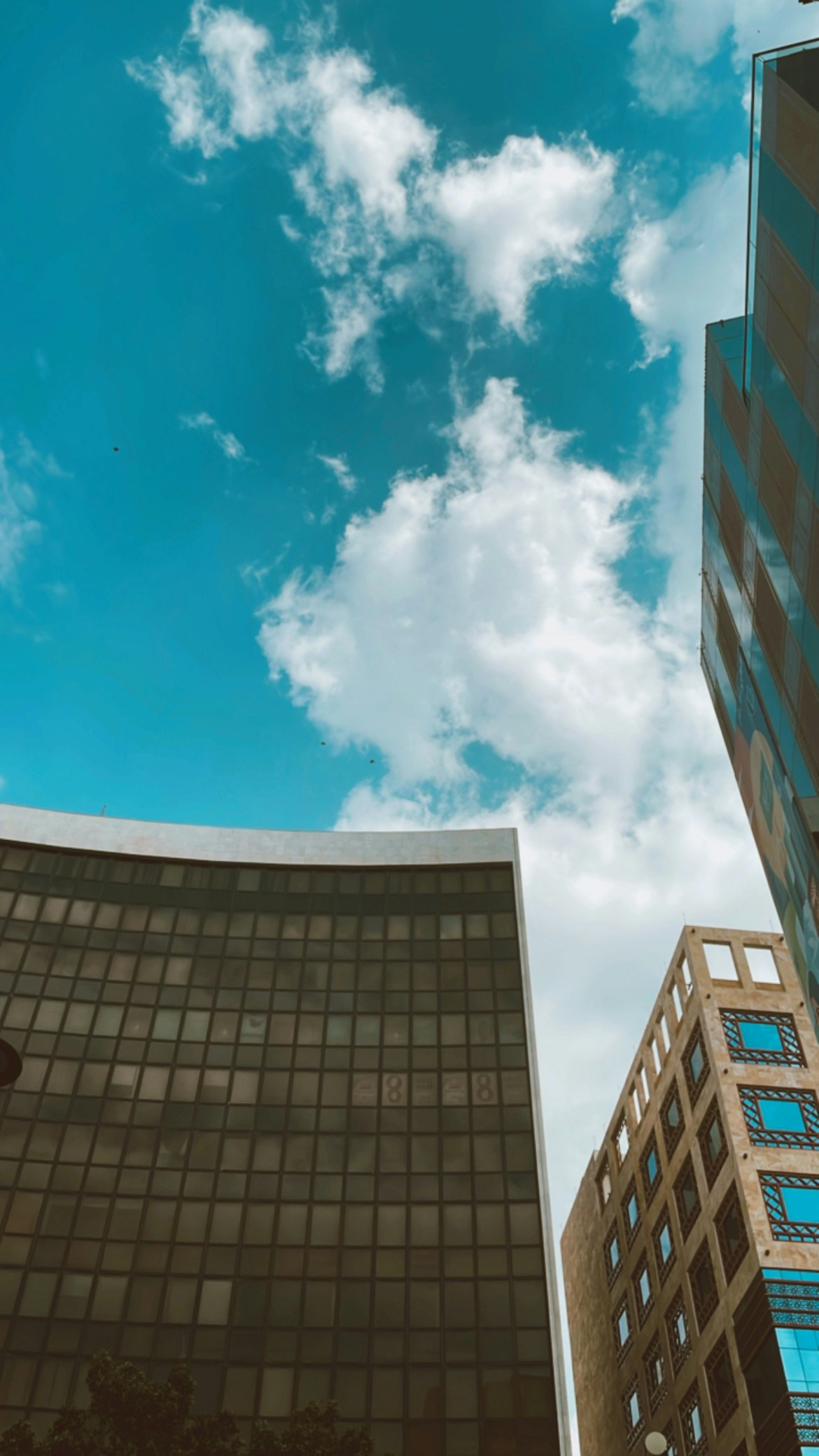 Go to fatma H's profile