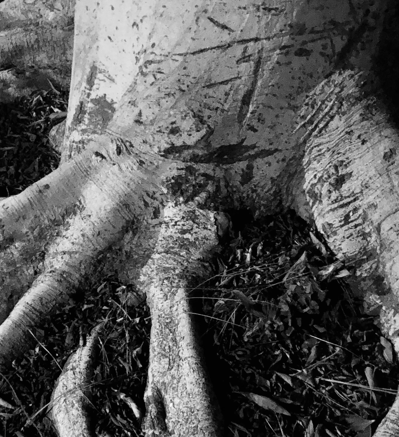 Zum Profil von Chris Chatham