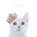 Avatar of user DOWNLOAD+ Aimer - BEST SELECTION "blanc" +ALBUM MP3 ZIP+