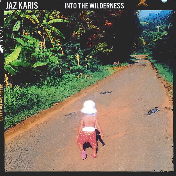 DOWNLOAD+ Jaz Karis - Into the Wilderness - EP +ALBUM MP3 ZIP+