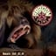 Avatar of user DOWNLOAD+ The Baboon Show - Best Of 2.0 +ALBUM MP3 ZIP+