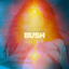 Avatar of user DOWNLOAD+ Bush - Black and White Rainbows (Delu +ALBUM MP3 ZIP+