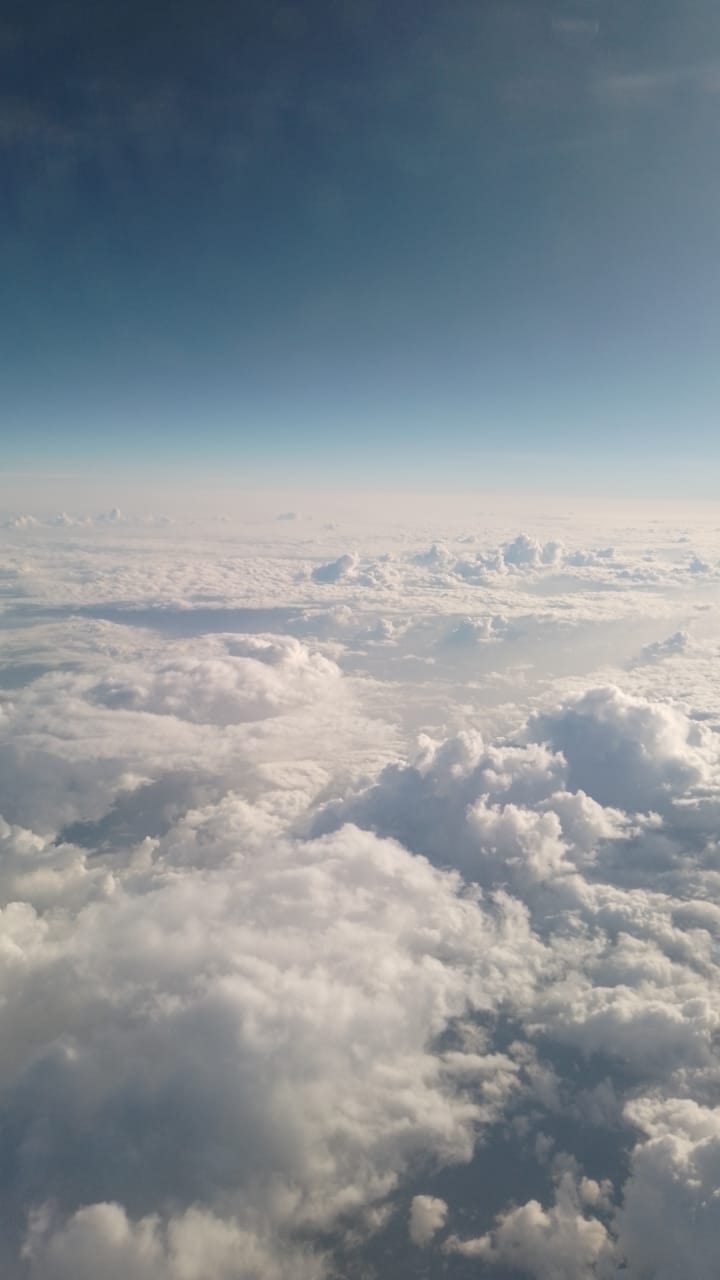 Ir para o perfil de Zidan Attamimi