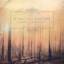 Avatar of user DOWNLOAD+ If These Trees Could Talk - Red Forest +ALBUM MP3 ZIP+