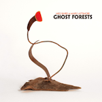 Avatar of user DOWNLOAD+ Meg Baird & Mary Lattimore - Ghost Forests +ALBUM MP3 ZIP+