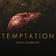 Avatar of user DOWNLOAD+ Chantal Chamberland - Temptation +ALBUM MP3 ZIP+