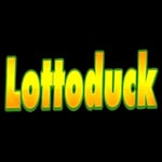 Avatar of user lotto duck