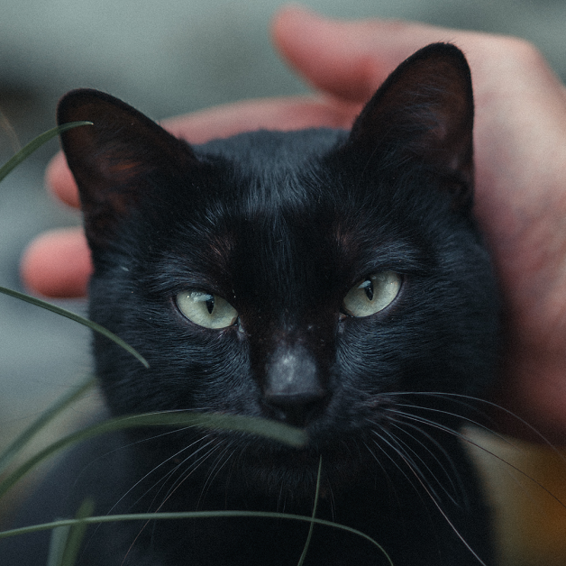 Go to Andrey Stakhovskiy's profile