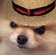 Go to Ethan  Marston's profile