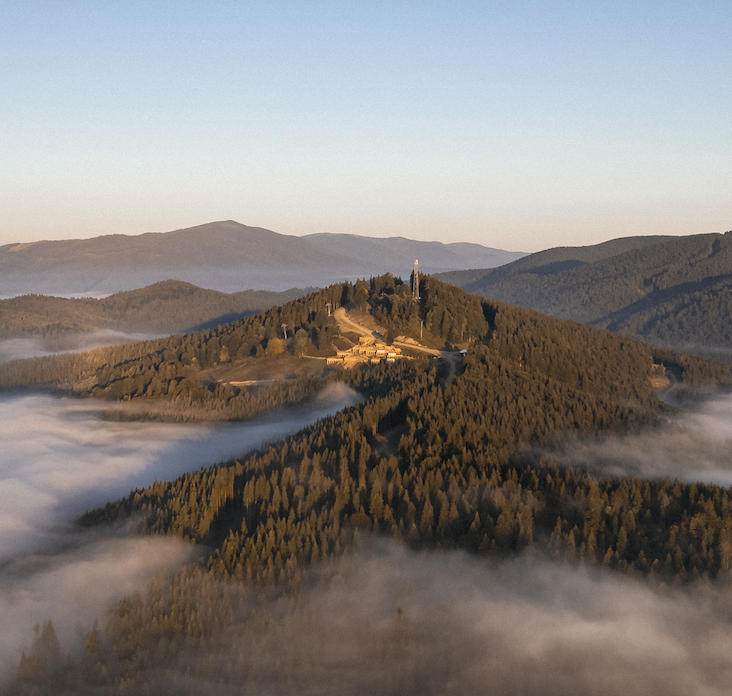 Go to Levi Kyiv's profile