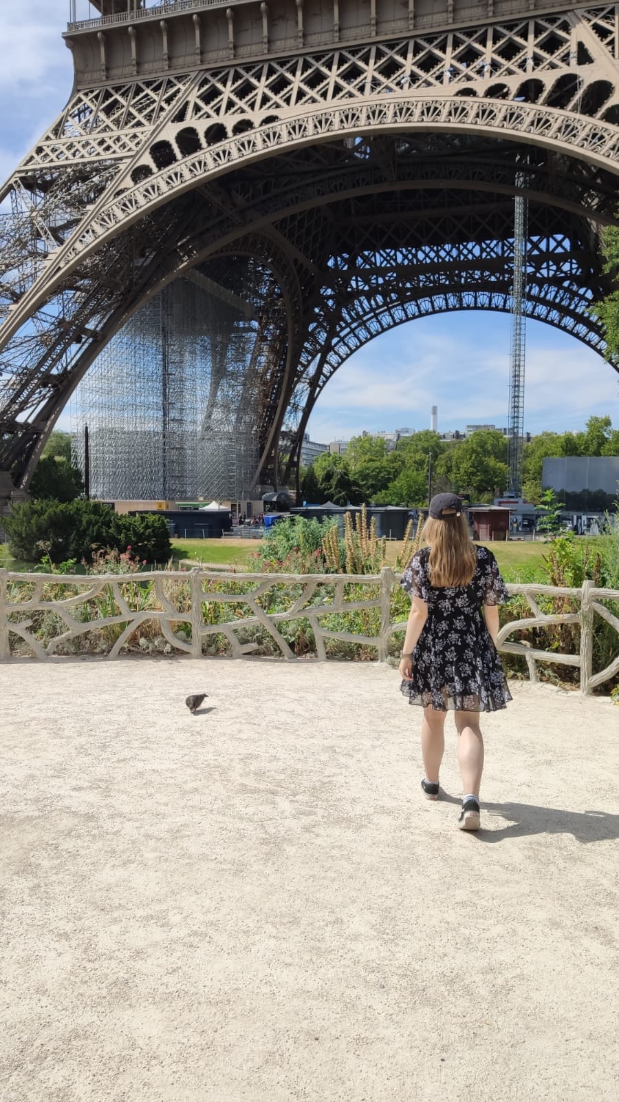 Zum Profil von Amelie Waltje