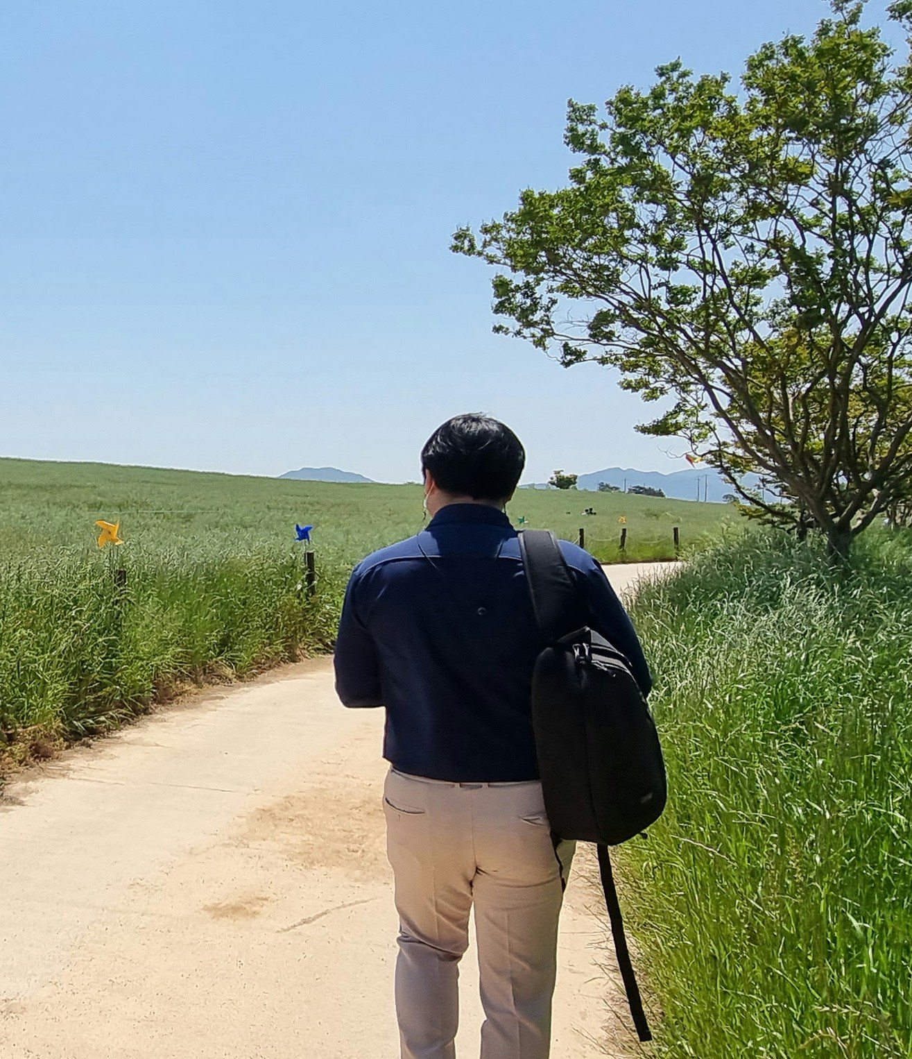 Zum Profil von Mingeon Go