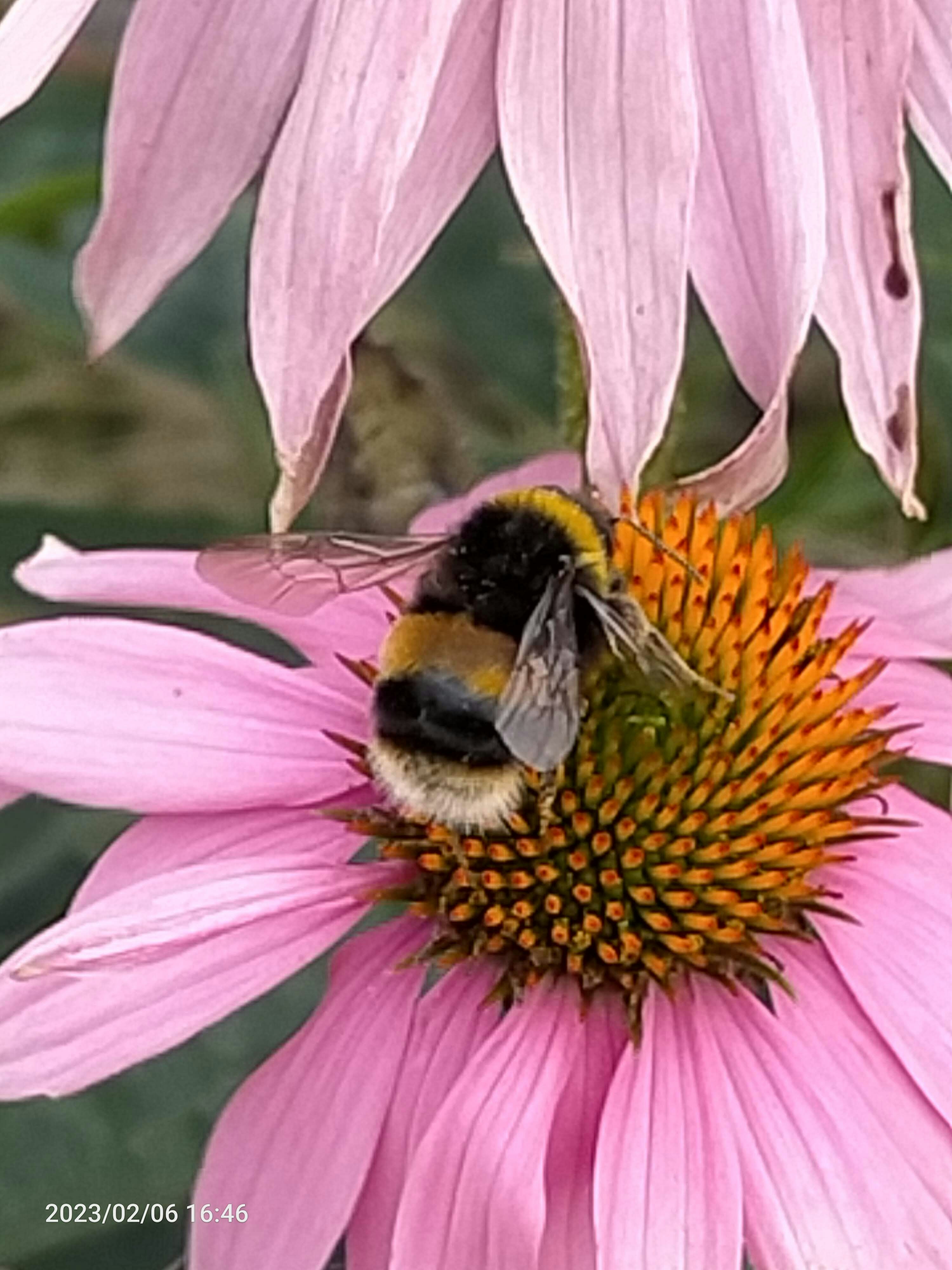 Go to Rachel Powell's profile