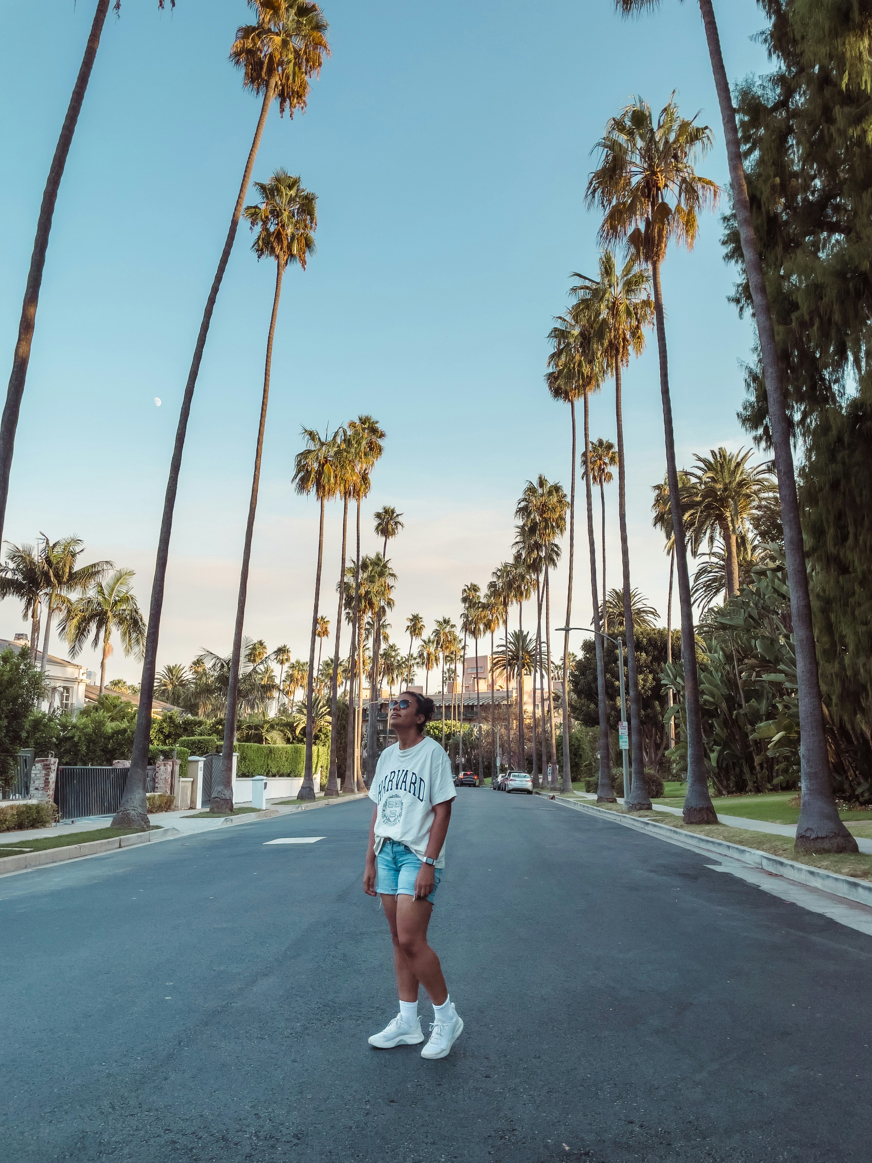 Go to Nadine Shaabana's profile