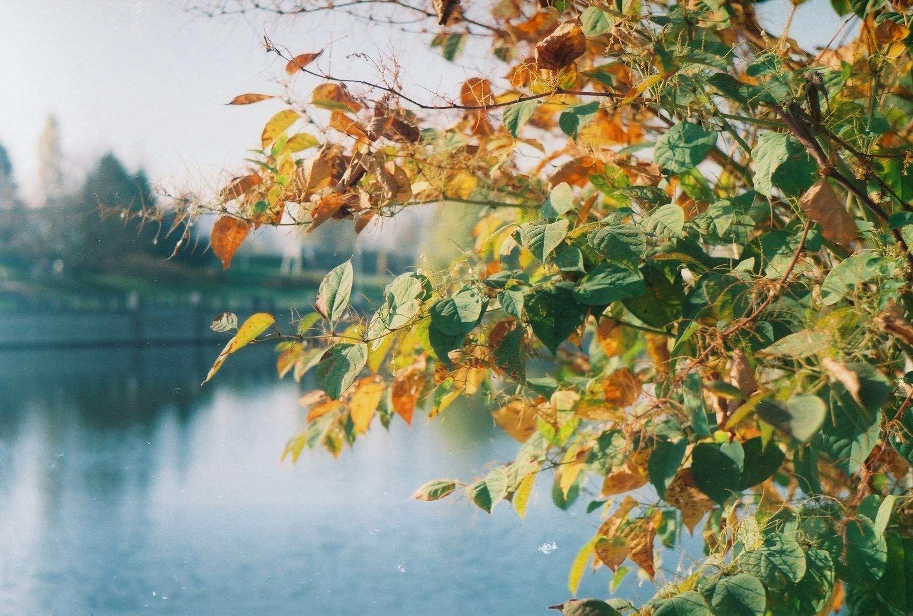 Zum Profil von Hanna Hatsevich